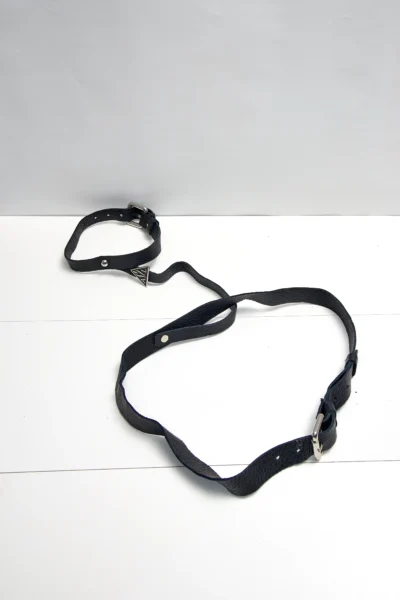Leather Harness